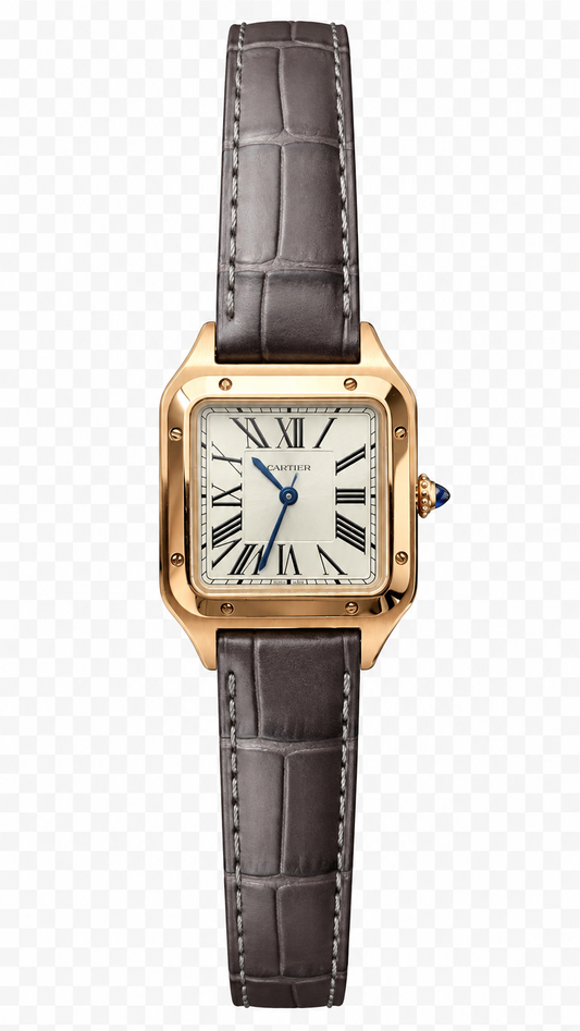 Cartier Santos de Cartier